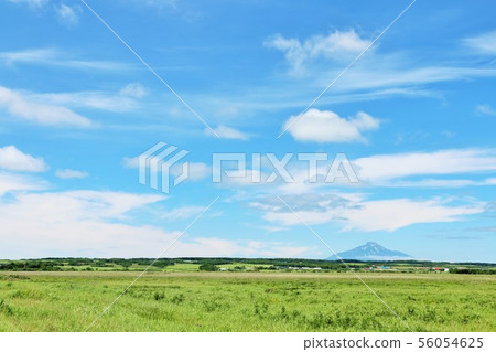 Sarobetsu wilderness in blue sky in Hokkaido 56054625