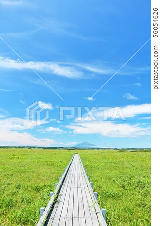 Sarobetsu wilderness in blue sky in Hokkaido 56054626