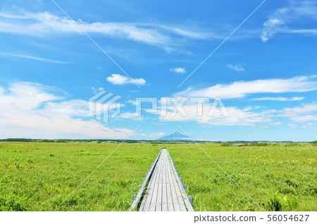 Sarobetsu wilderness in blue sky in Hokkaido 56054627