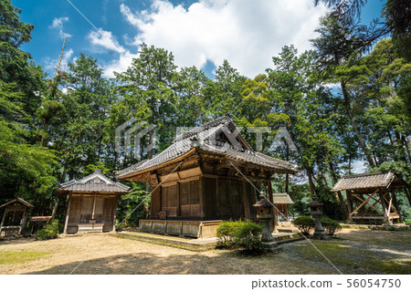 Hyogo prefecture summer countryside landscape and temple 56054750