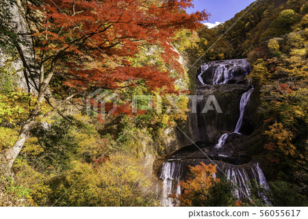 （茨城縣）福田瀑布秋葉 56055617