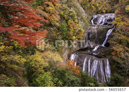 (Ibaraki Prefecture) Fukuda Falls Fall leaves (Ibaraki Prefecture) Fukuda Falls Fall leaves 56055657