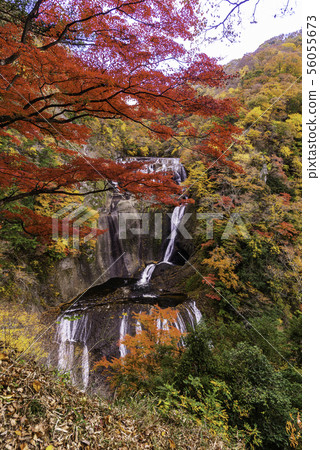 (Ibaraki Prefecture) Fukuda Falls Fall leaves (Ibaraki Prefecture) Fukuda Falls Fall leaves 56055673
