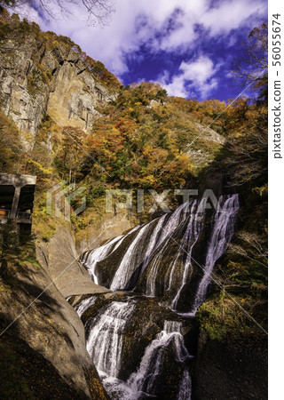 (Ibaraki Prefecture) Fukuda Falls Fall leaves (Ibaraki Prefecture) Fukuda Falls Fall leaves 56055674