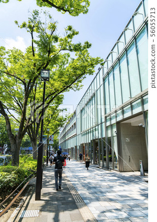 [Tokyo] Scenery of Omotesando 56055713