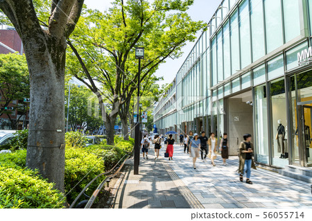 [Tokyo] Scenery of Omotesando 56055714