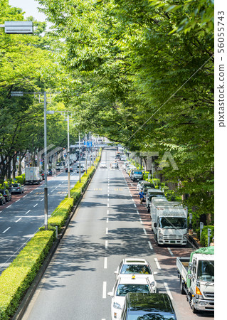 [東京]表參道的風景 56055743