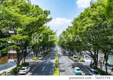 [Tokyo] Scenery of Omotesando 56055749