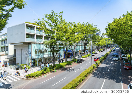 [東京]表參道的風景 56055766