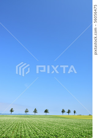 女人的童話山 女人的童話山 56056475