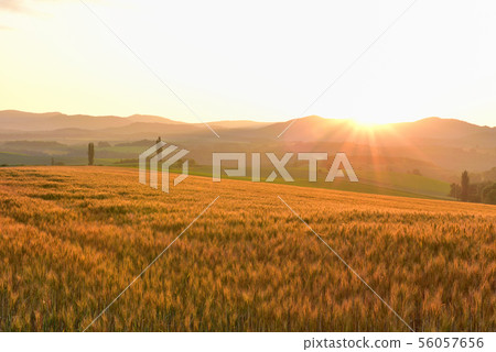 Biei no Oka Biei no Oka 56057656