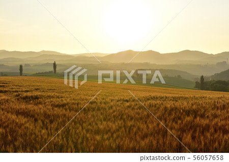 Biei no Oka Biei no Oka 56057658