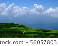 Oyama Natsuyama山道前景 56057803