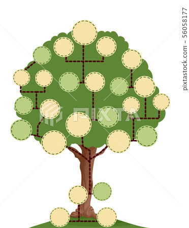 Tree Blank Family Tree Illustration 56058177