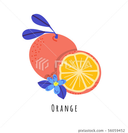 Orange fruit flat vector illustration Orange fruit flat vector illustration 56059452