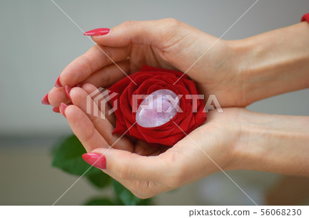 Female hands with manicure holding a yoni egg and red rose. The flower as a symbol of menstruation 56068230