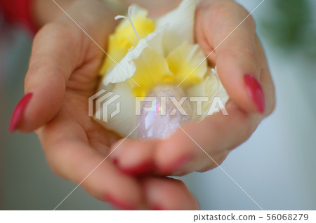 Indoors photo of female hand holding a yoni egg and white and yellow gladiolus flower. Transparent Indoors photo of female hand holding a yoni egg and white and yellow gladiolus flower. Transparent 56068279