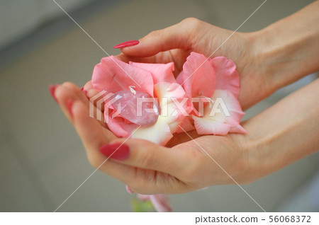 Close up photo of female hand with transparent amethyst yoni egg for vumbuilding inside pink 56068372