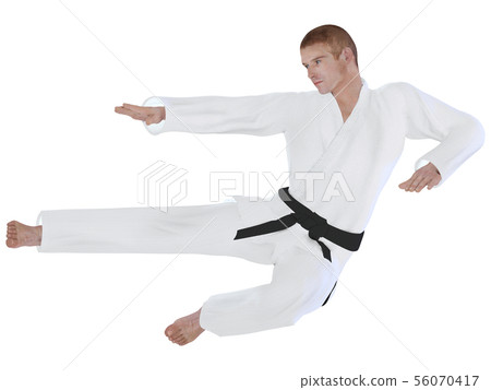 空手道的房子 56070417