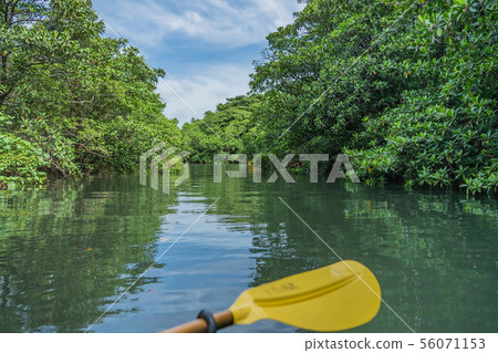 Iriomote Island River Sea Kayak 56071153