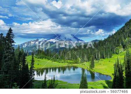 Mt Rainier Mt Rainier 56077466