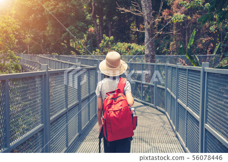 traveling backpacker walking on Canopy walkway at 56078446
