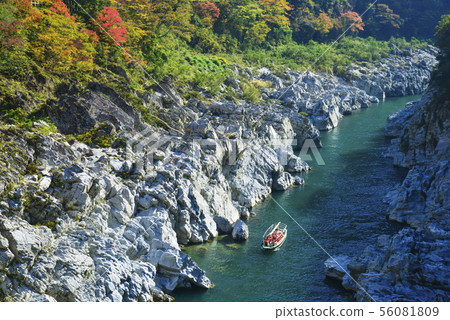 Great walk of autumn leaves 56081809