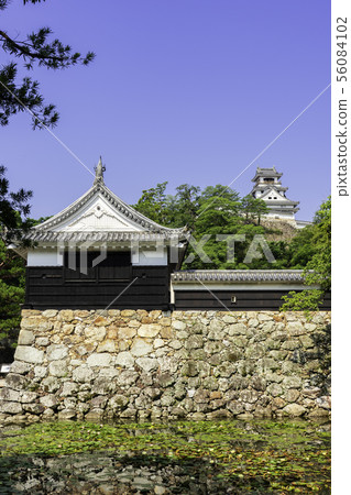 Kochi Castle Otemon（高知縣高知市） 56084102