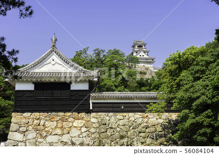 Kochi Castle Otemon（高知縣高知市） 56084104
