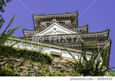 Kochi Castle Tenshukaku Kochi City, Kochi Prefecture Kochi Castle Tenshukaku Kochi City, Kochi Prefecture 56084430