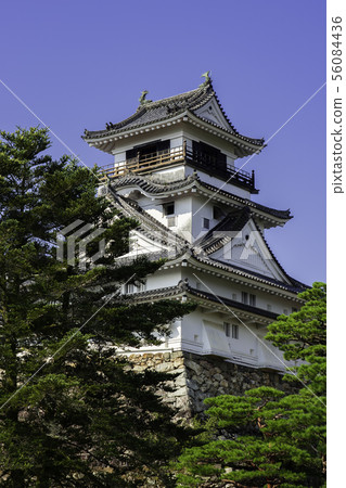 Kochi Castle高知縣高知縣高知縣 56084436