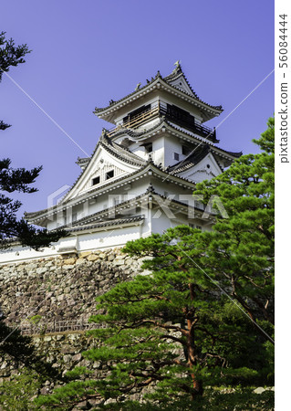 Kochi Castle Tenshukaku Kochi City, Kochi Prefecture 56084444