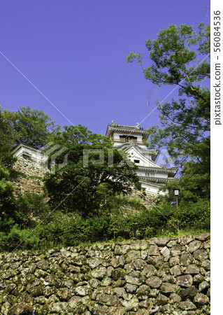 Kochi Castle Tenshukaku Kochi City, Kochi Prefecture Kochi Castle Tenshukaku Kochi City, Kochi Prefecture 56084536