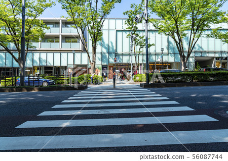 [東京]表參道的風景 56087744