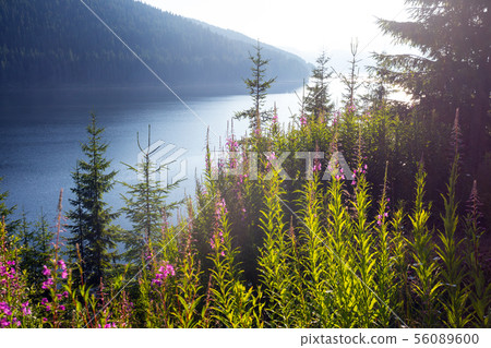 beautiful mountain landscape beautiful mountain landscape 56089600