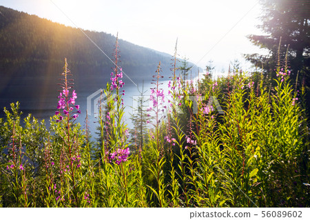 beautiful mountain landscape beautiful mountain landscape 56089602