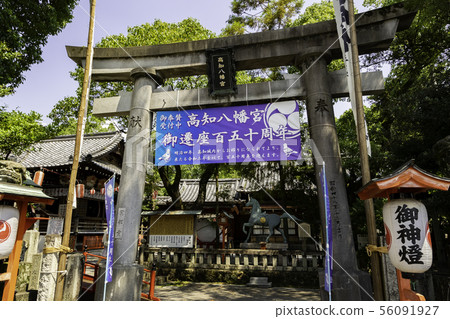 Kochi Hachimangu Shrine Torii Kochi City，Kochi Prefecture 56091927
