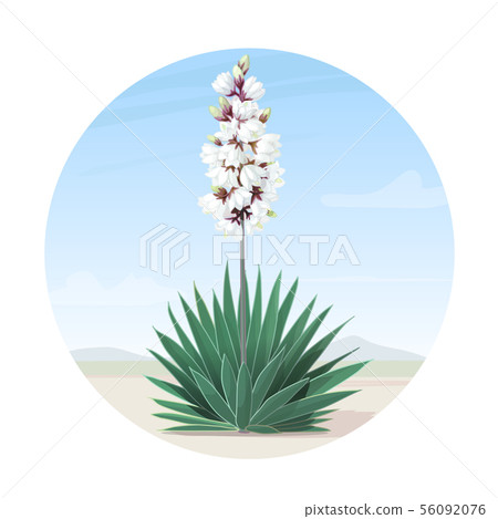 vector cartoon plants clip art 56092076