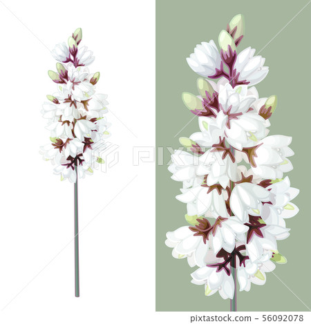 vector cartoon plants clip art 56092078