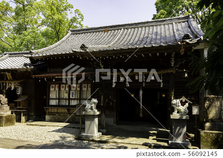 Kochi Hachimangu Shrine Fishing Boat Shrine Kochi City, Kochi Prefecture 56092145