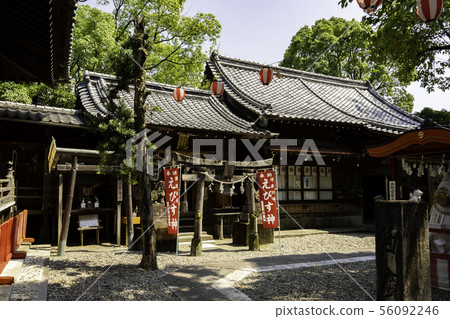 Kochi Hachimangu Shrine Ebisu Shrine Fishing Boat Shrine Kochi City, Kochi Prefecture 56092246