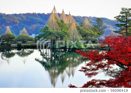 秋葉的Kenrokuen 秋葉的Kenrokuen 56096419