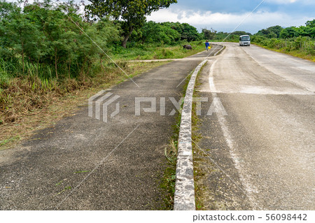 Okinawa Taketomi Island Road from the port Buffalo morning walk Okinawa Taketomi Island Road from the port Buffalo morning walk 56098442