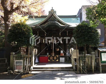 Ono Terasaki Shrine in late autumn colored by yellow leaves of ginkgo 56098783