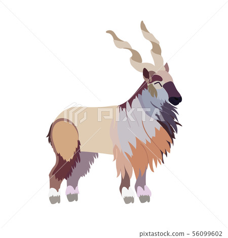 vector flat cartoon animal clip art 56099602
