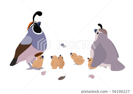 vector cartoon animal clip art-插圖素材 [56100227] - PIXTA圖庫