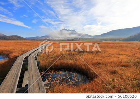Ozegahara_Yakugatake and autumn leaves_October_1 Ozegahara_Yakugatake and autumn leaves_October_1 56100526