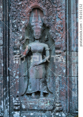 The ancient temple of Ta Prohm , Angkor , Cambodia 56101152