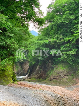 Wataru Valley Wataru Valley 56101379