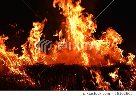 fire flame in darkness for abstract background fire flame in darkness for abstract background 56102663